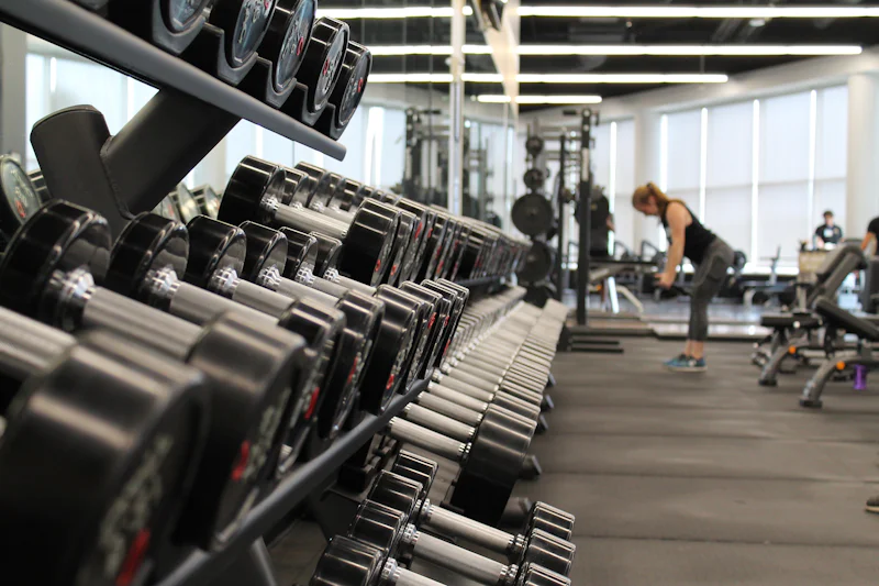 Free weights rack